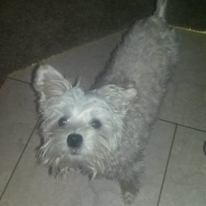 Meet your Posher, Marilyn